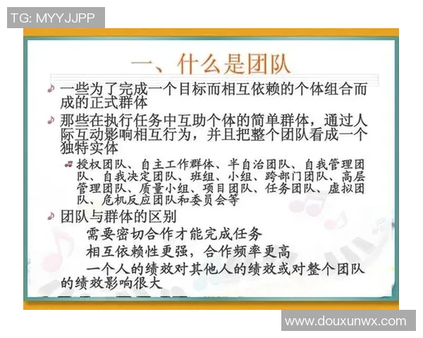 重庆羽毛球队战术解析：聚焦技术与团队协作的完美结合