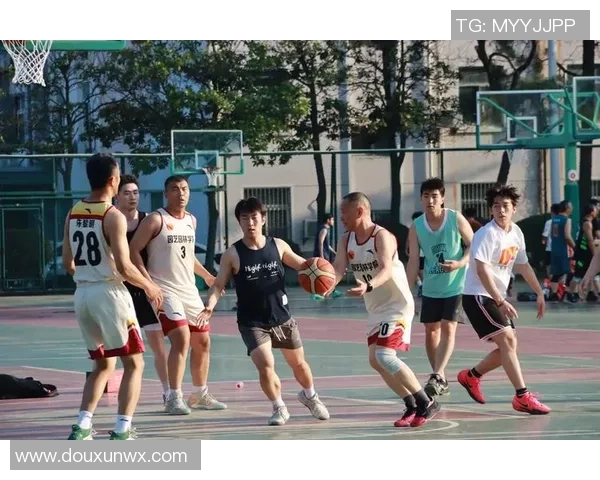 篮球团队协作排行榜:杭州篮球队位居第5名 篮球团队协作排行榜:杭州篮球队位居第5名